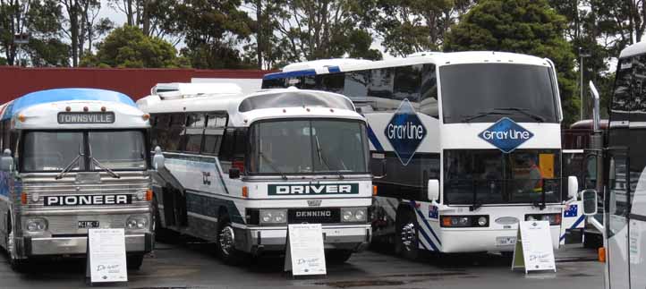 Driver Gray Line Motorcoach Classic III 68